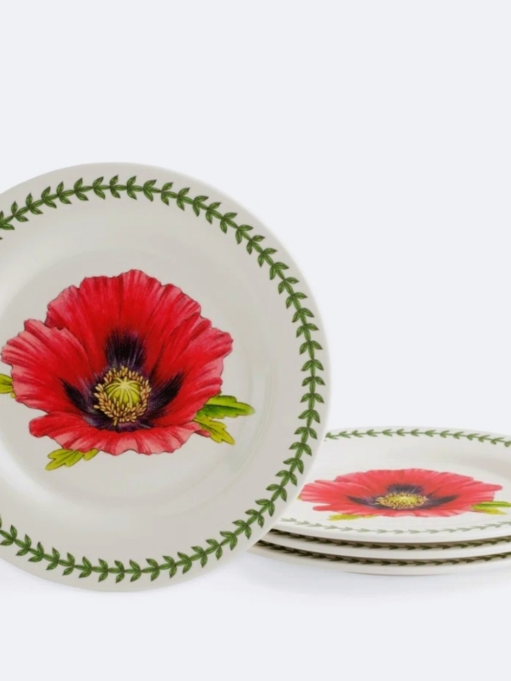 ❣️NIB BOTANIC SALAD PLATES - Picture 14 of 15